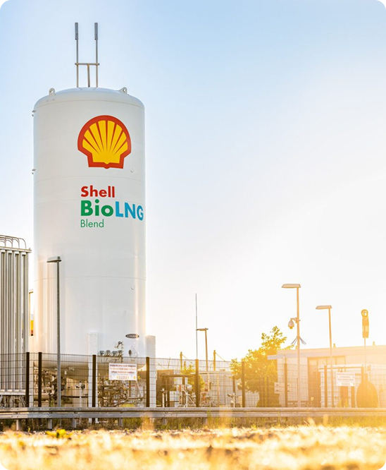 Shell